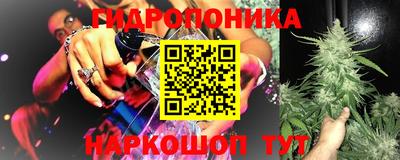 твердый Моздок