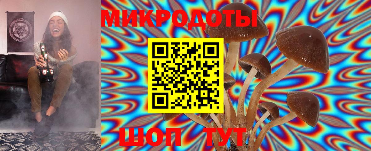 Псилоцибиновые грибы MAGIC MUSHROOMS  Вход с VPN  Учалы 
